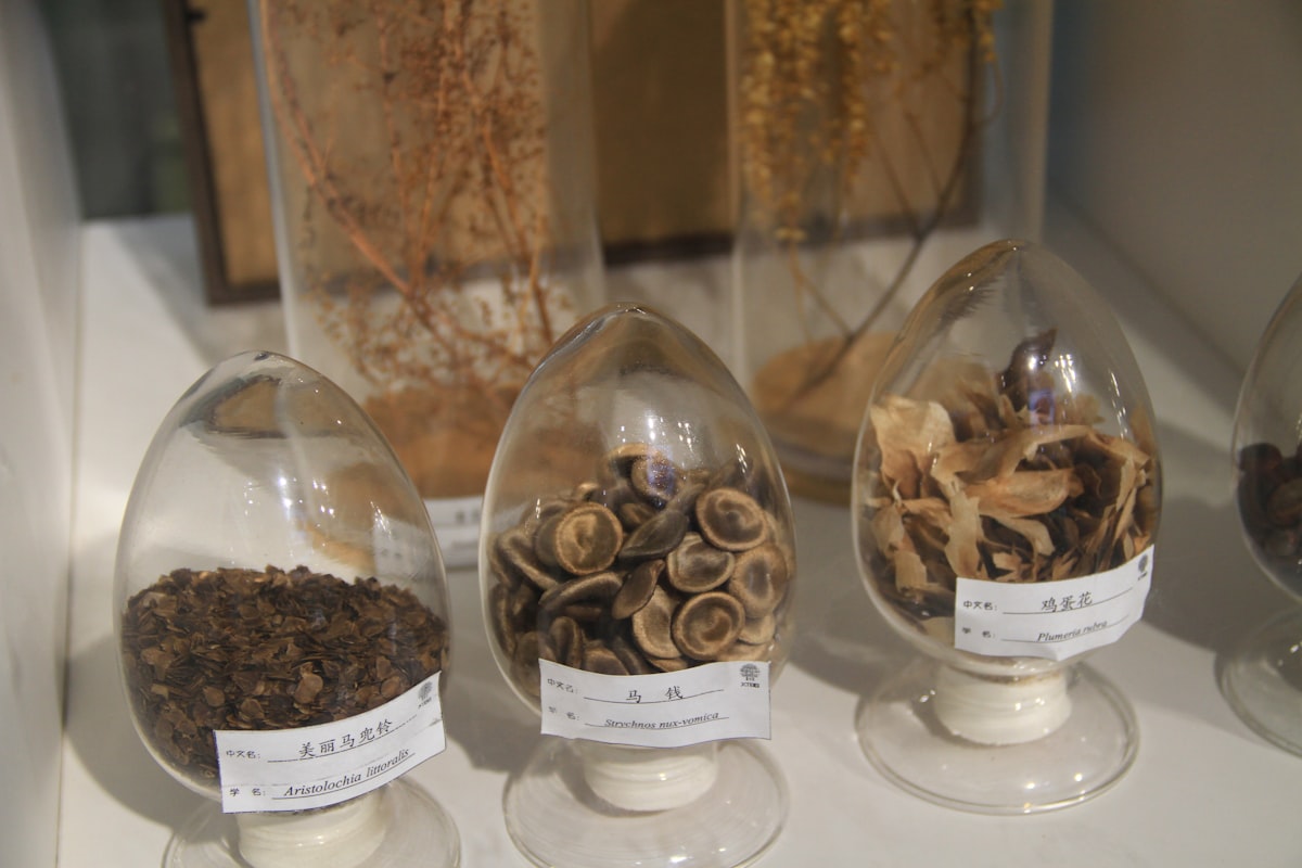 Ancient manuscripts and historical scrolls about herbal remedies